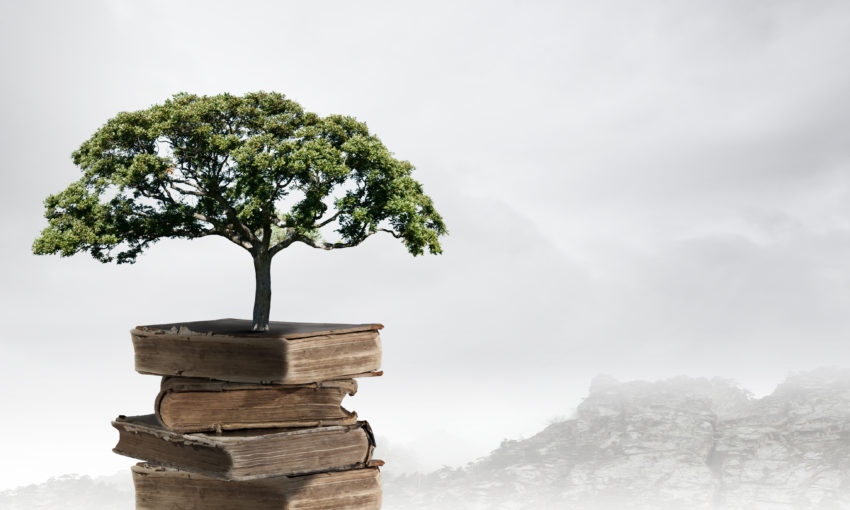 Tree sitting on stack of old books